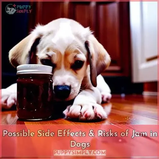 Possible Side Effects & Risks of Jam in Dogs