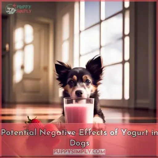 Potential Negative Effects of Yogurt in Dogs