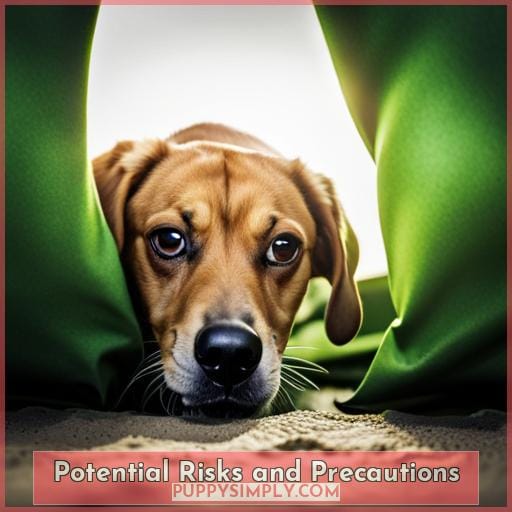 Potential Risks and Precautions