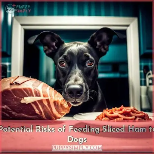 Potential Risks of Feeding Sliced Ham to Dogs