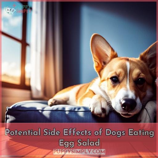 Potential Side Effects of Dogs Eating Egg Salad