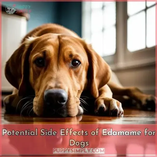 Potential Side Effects of Edamame for Dogs