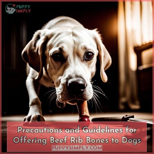Precautions and Guidelines for Offering Beef Rib Bones to Dogs