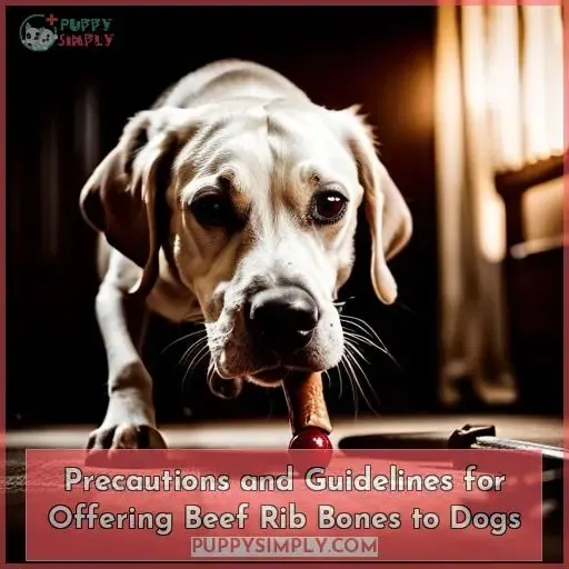 Precautions and Guidelines for Offering Beef Rib Bones to Dogs