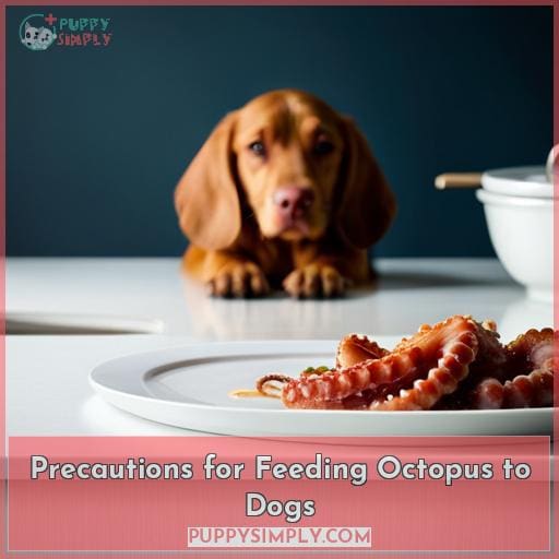 Precautions for Feeding Octopus to Dogs
