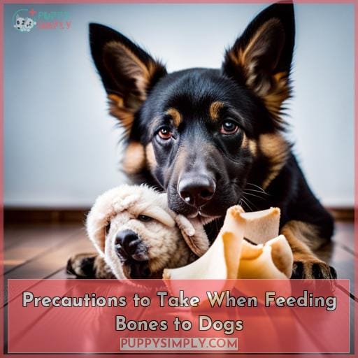 Precautions to Take When Feeding Bones to Dogs
