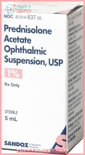 Prednisolone Acetate (Generic) Ophthalmic Suspension