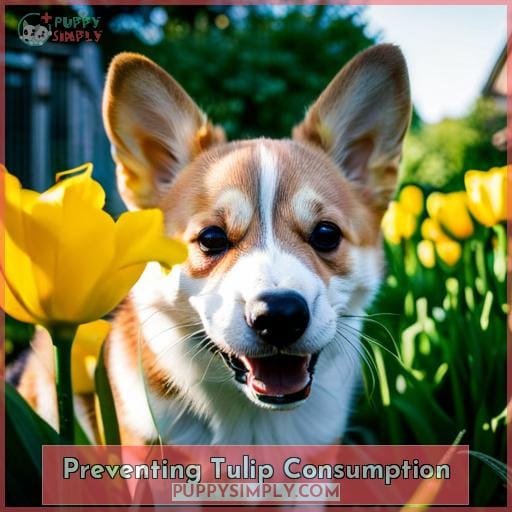 Preventing Tulip Consumption