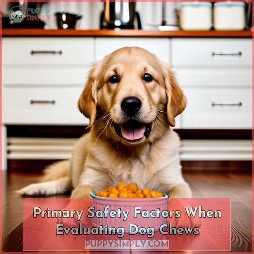 Primary Safety Factors When Evaluating Dog Chews