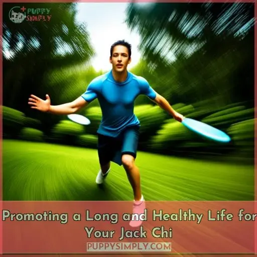 Promoting a Long and Healthy Life for Your Jack Chi