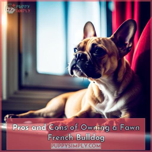 Pros and Cons of Owning a Fawn French Bulldog