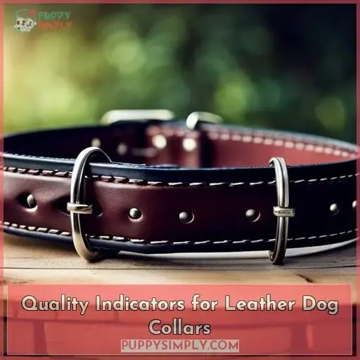 Quality Indicators for Leather Dog Collars