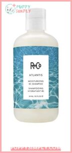 R+Co Atlantis Moisturizing B5 Shampoo B07T2L6JR1