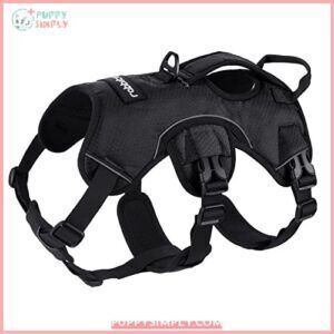 rabbitgoo Escape Proof Dog Harness, B07L2TBG5C