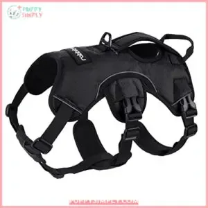 rabbitgoo Escape Proof Dog Harness,