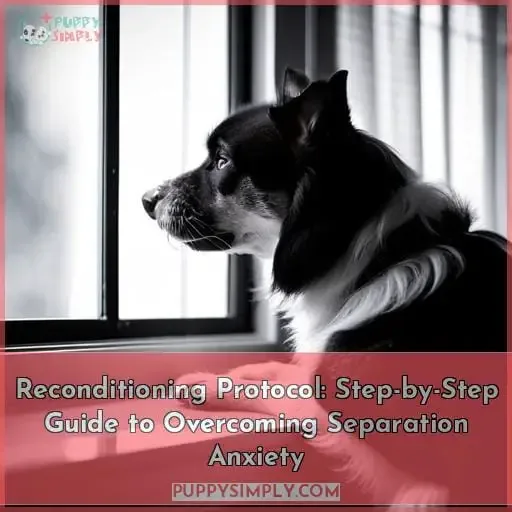 Reconditioning Protocol: Step-by-Step Guide to Overcoming Separation Anxiety