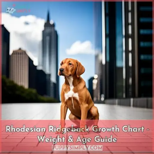 Rhodesian Ridgeback Growth Chart Weight & Age Guide