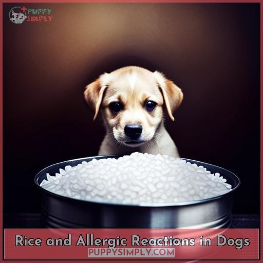 Rice and Allergic Reactions in Dogs