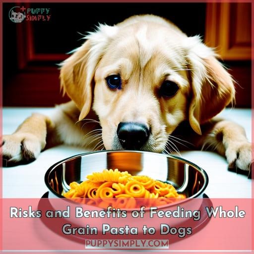 Risks and Benefits of Feeding Whole Grain Pasta to Dogs