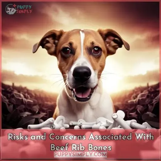 Risks and Concerns Associated With Beef Rib Bones