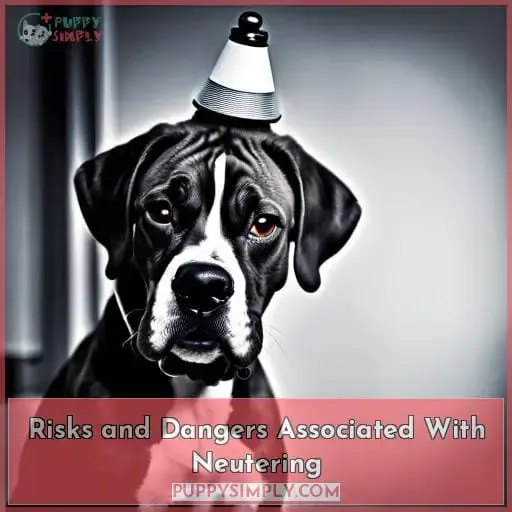 Risks and Dangers Associated With Neutering