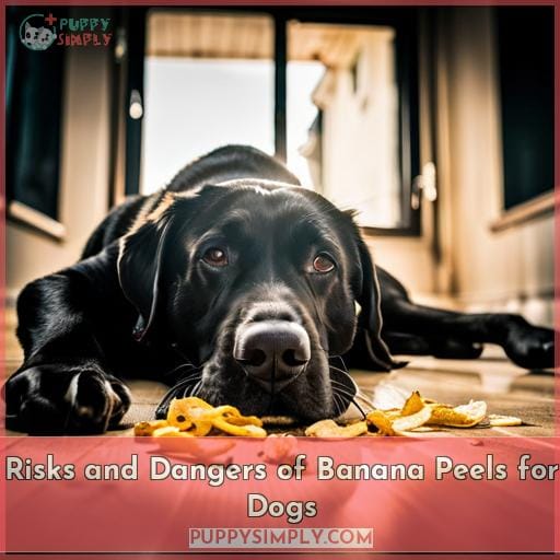 Risks and Dangers of Banana Peels for Dogs