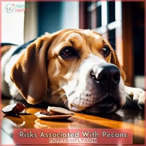 Risks Associated With Pecans