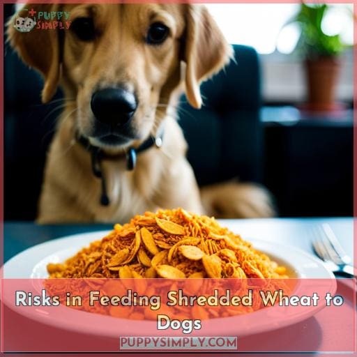 Risks in Feeding Shredded Wheat to Dogs