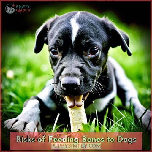 Risks of Feeding Bones to Dogs