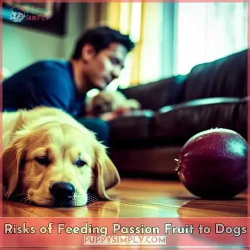 Risks of Feeding Passion Fruit to Dogs
