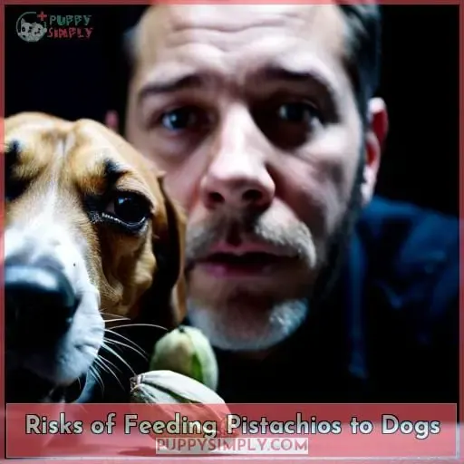Risks of Feeding Pistachios to Dogs