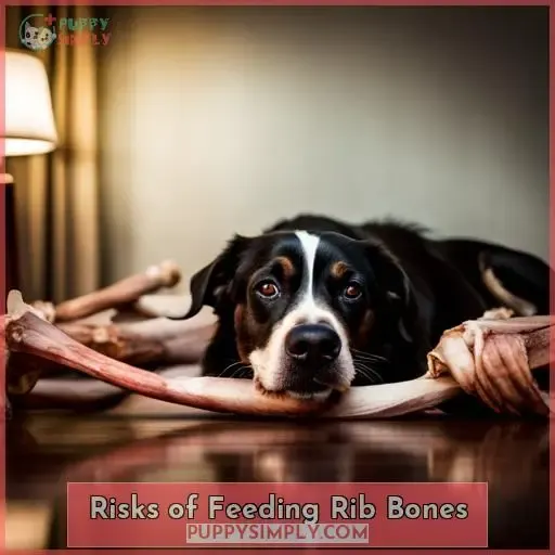 Risks of Feeding Rib Bones