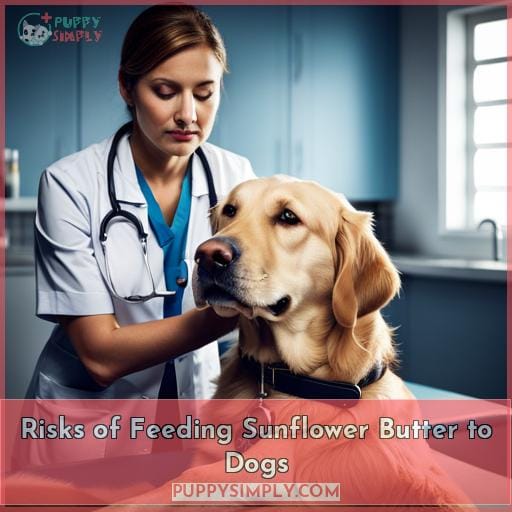 Risks of Feeding Sunflower Butter to Dogs