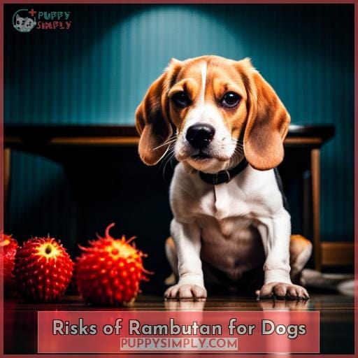 Risks of Rambutan for Dogs
