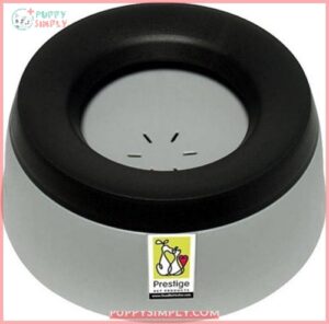 Road Refresher No Spill Dog 206047