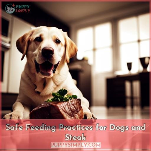 Safe Feeding Practices for Dogs and Steak