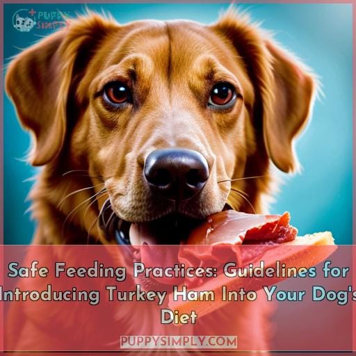Safe Feeding Practices: Guidelines for Introducing Turkey Ham Into Your Dog