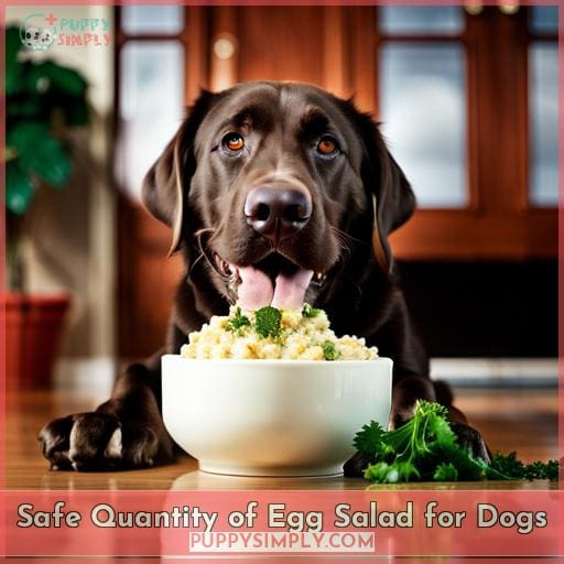 Safe Quantity of Egg Salad for Dogs