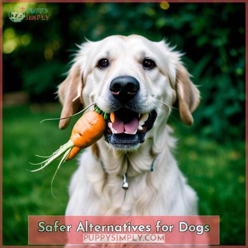 Safer Alternatives for Dogs