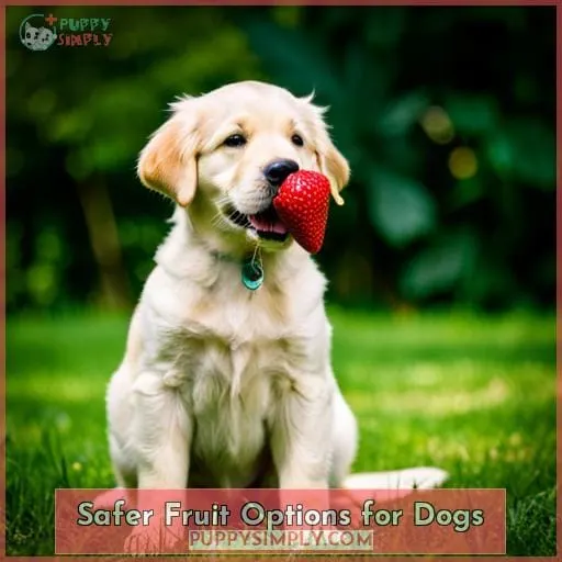 Safer Fruit Options for Dogs