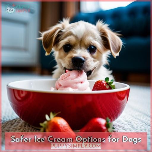 Safer Ice Cream Options for Dogs