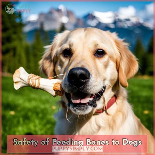 Safety of Feeding Bones to Dogs