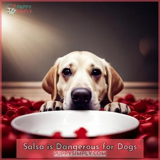 Salsa is Dangerous for Dogs