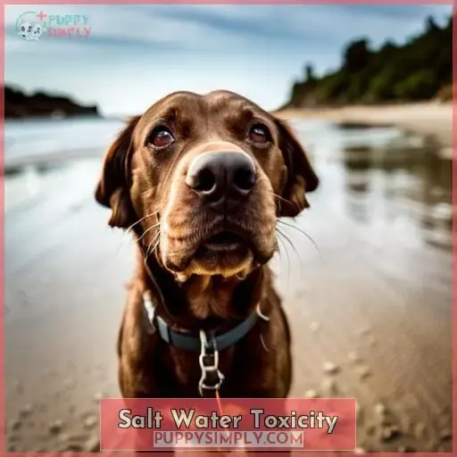 Salt Water Toxicity