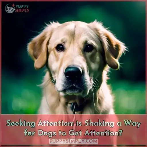 Seeking Attention: is Shaking a Way for Dogs to Get Attention