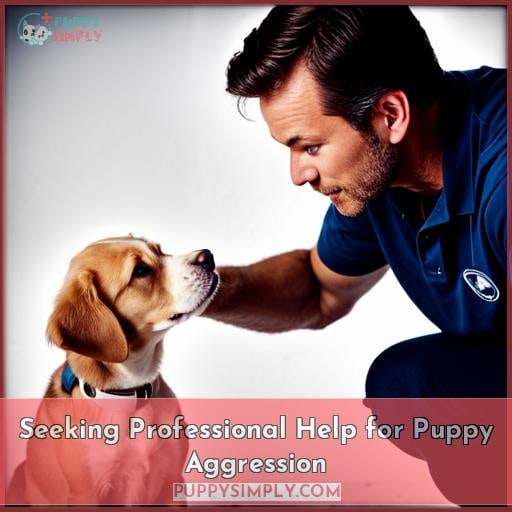 Seeking Professional Help for Puppy Aggression