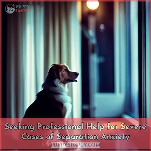 Seeking Professional Help for Severe Cases of Separation Anxiety