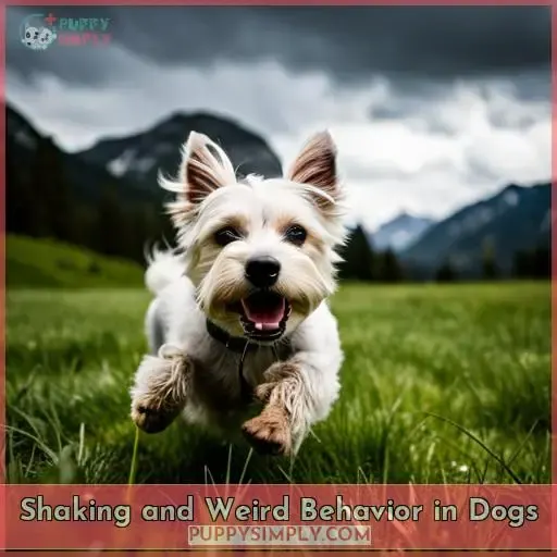 Shaking and Weird Behavior in Dogs