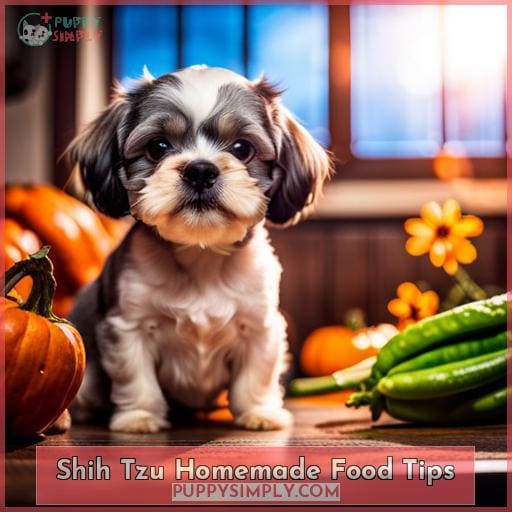 Shih Tzu Homemade Food Tips
