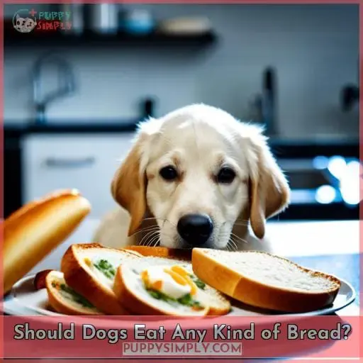 Should Dogs Eat Any Kind of Bread
